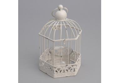Cage oiseaux