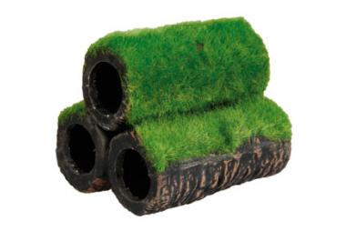 Décoration aquarium