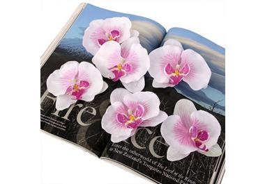 Orchidée artificielles