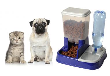 Fontaine à eau pour chien