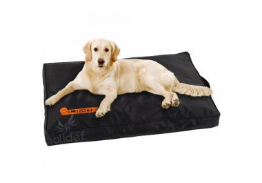 Coussin pour chien