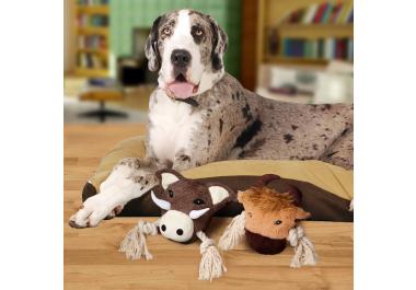 Jouet pour chien