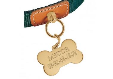 Medaille chien