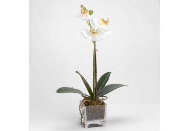 Orchidée artificielles