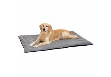Tapis pour chien